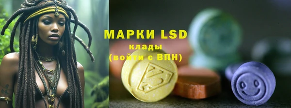 мяу мяу мука Аркадак