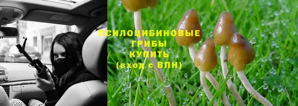 Альфа ПВП Арсеньев