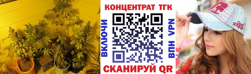 ссылка на мегу ТОР  площадка какой сайт  Дистиллят ТГК концентрат  Усть-Джегута 