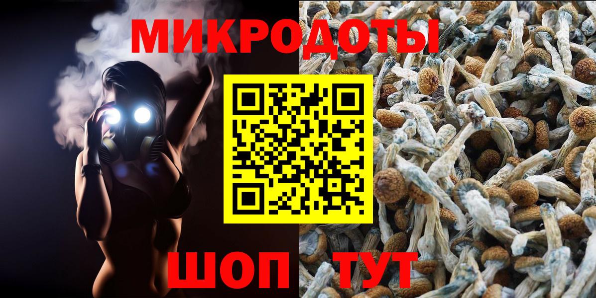 Галлюциногенные грибы Magic Shrooms Усть-Джегута