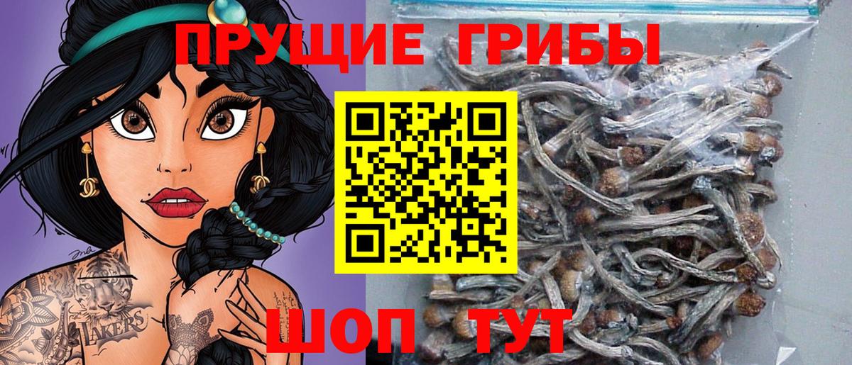 Усть-Джегута  Галлюциногенные грибы мухоморы  Вход с VPN 